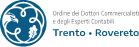 logo ordine dottori commercialisti e degli esperti contabili